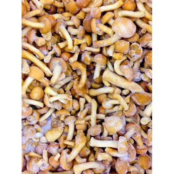 Frozen Mushrum (5)-5234645-18131.webp